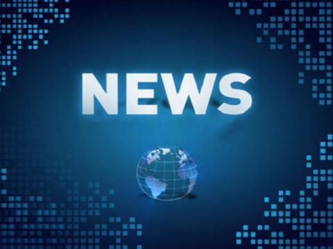 Pogopinnens sammensetning og funksjon